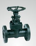 Forged Steel Globe Valve