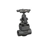 Forged Steel Globe Valve (NPT)