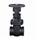 125LB Screw End OS&Y Gate Valve