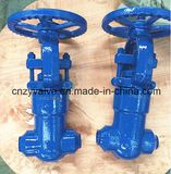 F11/F22 Psv High Pressure 2500lb Butt Weld Gate Valve