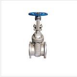 Stainless Steel Rising Stem Manual Gate Valve