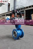 Gearbox Pneumatic Operation Segment Ball Valve