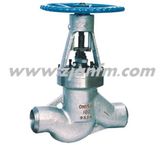 Power Station Globe Valve