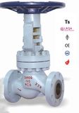 Globe Valve