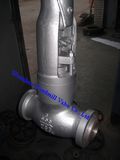 Pressure Seal Globe Valve (3