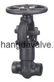 Pressure Sealing Globe Valve