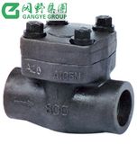 Forged Check Valve