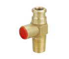 Gas Regulator Valve (ZJ-Y13)