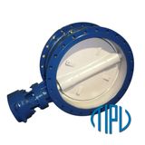 Double Eccentric Butterfly Valve