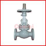 Cast Steel Globe Valve