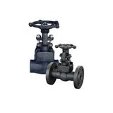 Forged Steel Gate Valve