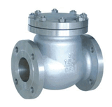 Swing Check Valve