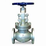 API, ANSI, BS, DIN, JIS Stainless Steel Globe Valves