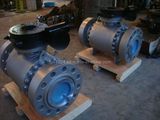 Forged Trunnion Mounted Ball Valve