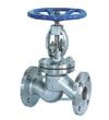 Globe Valves (J41)