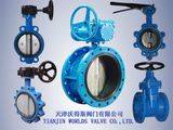 PVC Butterfly Valve