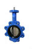 Butterfly Valve - 5