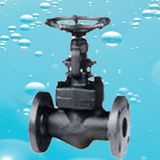 Forged Steel Flange Globe Valve