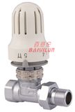 Dn15 Brass Straight Thermostatic Valve