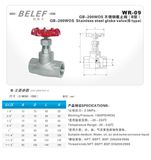 B Type Stainless Steel Globe Valve (WR-09)