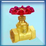 Brass Stop Valve (HJ-7102)