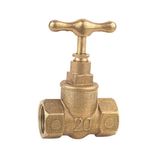 Brass Globe Valve