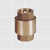 Spring Check Valve (YX-4103)