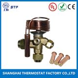 Brass Thermal Expansion Valve