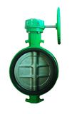 Butterfly Valve