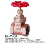 Bronze Gate Valve (BGV-ZG-001)