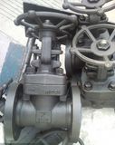 Forged Gate Valve