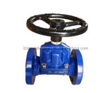 Laizhou Dongsheng Valve Co., Ltd.