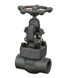 Forged Steel Threaded Globe Valve