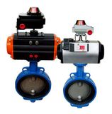 Pneumatic Butterfly Valve (D671X)