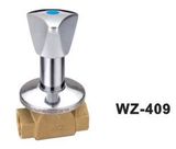 Gate Valve (WZ-409)