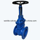 Rising Stem Worm Gear Gate Valve (Z45X10Q(06))