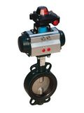 Centerline Butterfly Valves (290D)