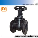 Cast Iron Gate Valve/Stem Gate Valve