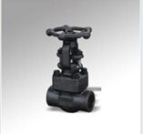 Forged Steel Internal Threaded Socket Welded Stop Valve (DTV-J003)