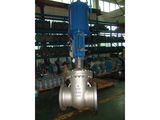 Power Plant Valve