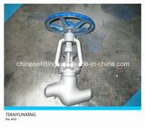 Bw End API Forged Carbon Steel Globe Valve