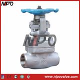 Thread and Socket Welded Forged Steel Globe Valve