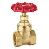 Brass Gate Valve (SS1010)