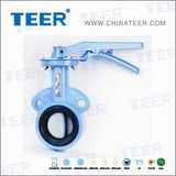 ANSI Butterfly Valve (D73H-150LB)