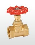 (A) Brass Stop&Check Valve (Brass Body, Stem, PTFE Seat and Gasket)