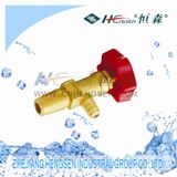 Steel Bottle Valve