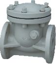 Plastic Check Valves