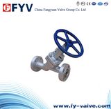 Cast Steel Globe Valves Y Type