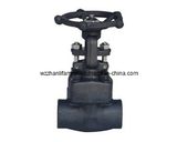 Forged Steel Globe Valve (SW, NPT)