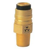 Inserted Type LPG Cylinder Valve (V204)